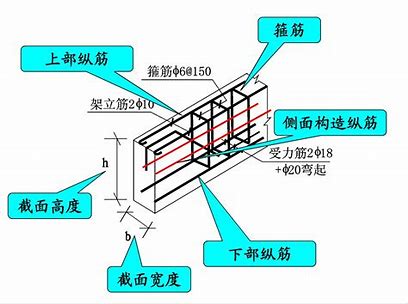 图1：钢筋结构图解